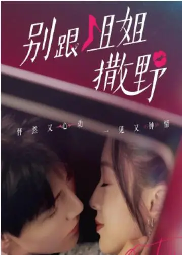 《别跟姐姐撒野》：爆笑姐弟日常，鸡飞狗跳的温馨治愈，让你笑出腹肌的家庭喜剧！