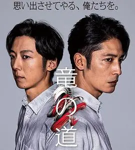 《龙道双面复仇者》：亦正亦邪，黑白之间，看双面人生如何燃爆复仇之路！