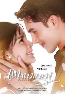 《新爱神之影》：揭秘禁忌之爱与宿命纠缠，一段不被世俗理解的感官盛宴